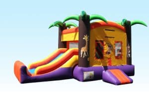 Dinosaur Mini Combo - Photo 4