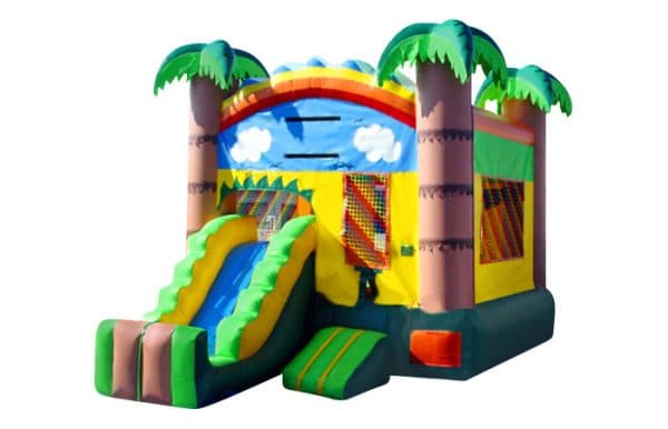 Tropical Rainbow Mini Combo