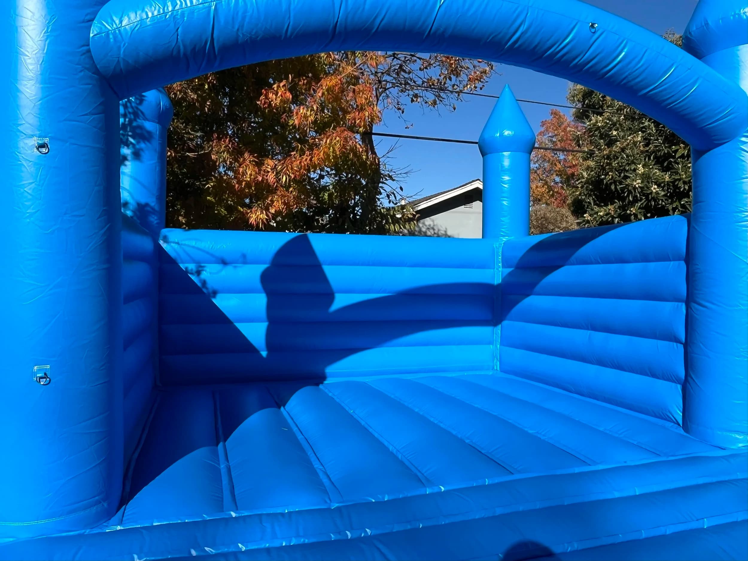 ‘BLUE CASTLE’ - Photo 4