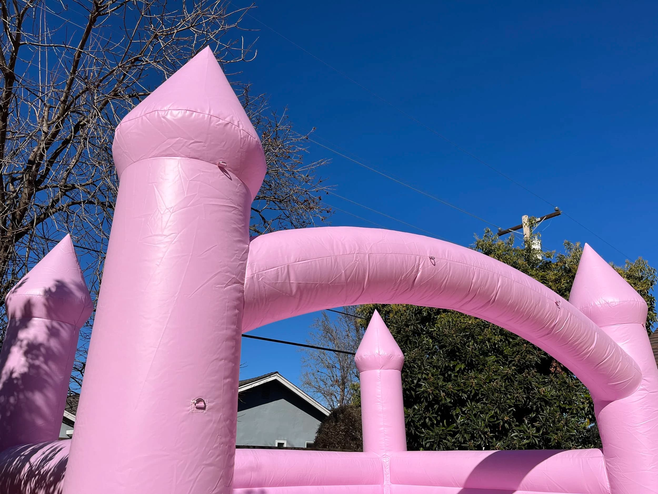 ‘ROSE CASTLE’ - Photo 4